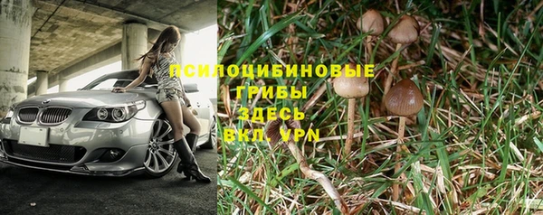 мяу мяу мука Тайга