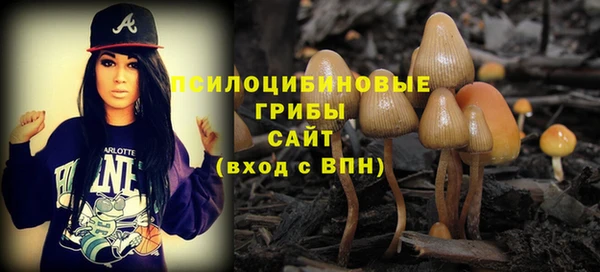 амфетамин Тавда