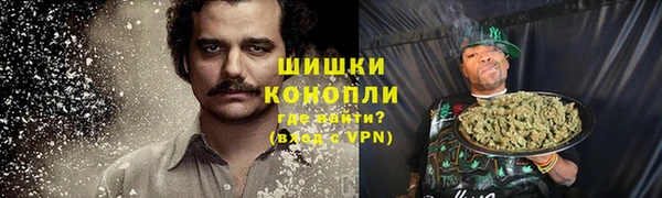 мяу мяу мука Тайга